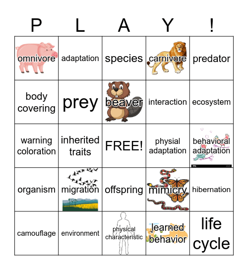 Adaptation Game Bingo Card