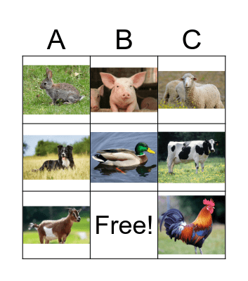 Farm Animals (Easy) Bingo Card