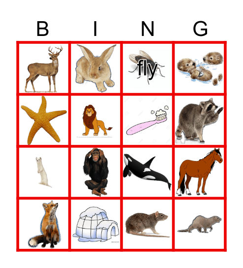 Animals Bingo Card