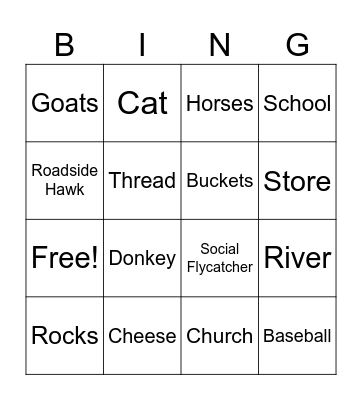 TLACUILOLAN IN ENGLISH Bingo Card