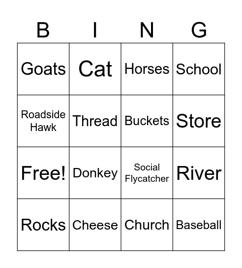 TLACUILOLAN IN ENGLISH Bingo Card