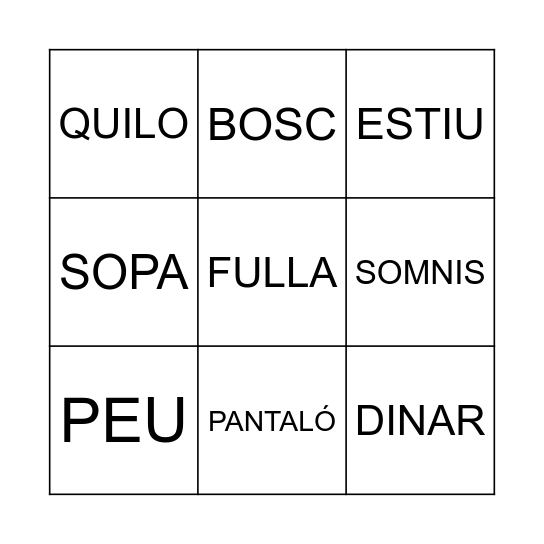 BINGO DE PARAULES Bingo Card