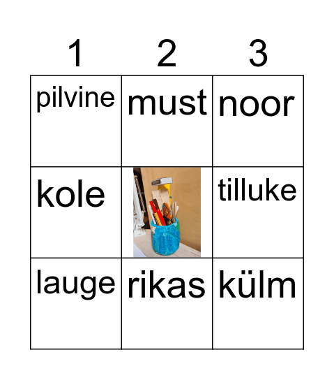 Vastand- ja samatähendusega sõnad Bingo Card