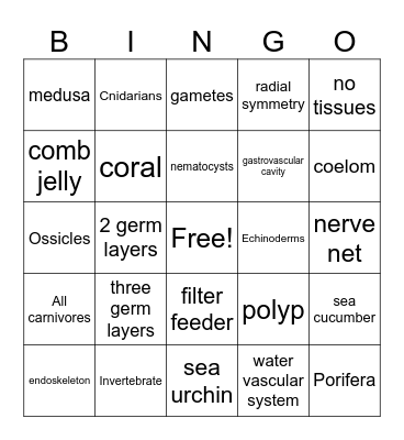 Invertebrate  Bingo Card