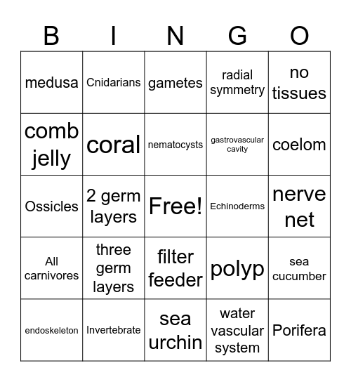 Invertebrate Bingo Card