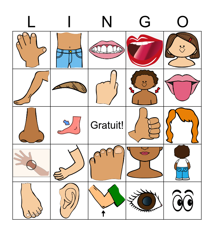 Les Parties Du Corps Bingo Card