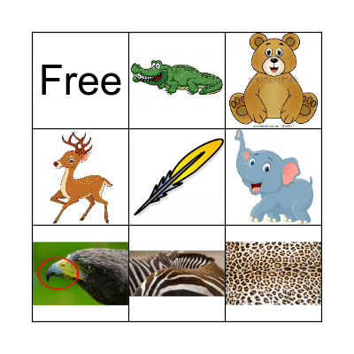 Animals And Their Body Parts Bingo Card