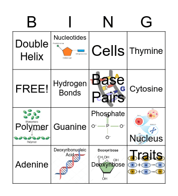 DNA Bingo Card