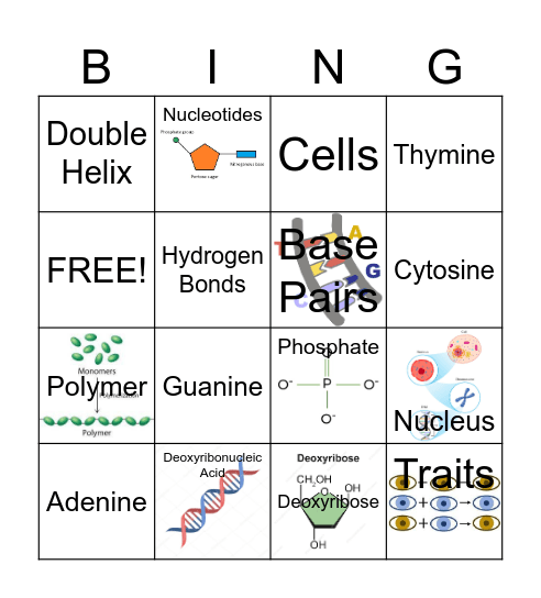 DNA Bingo Card