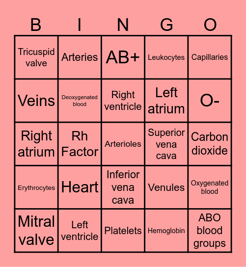 Circulatory System Review Bingo Card