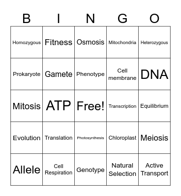 EOC Vocab Bingo Card