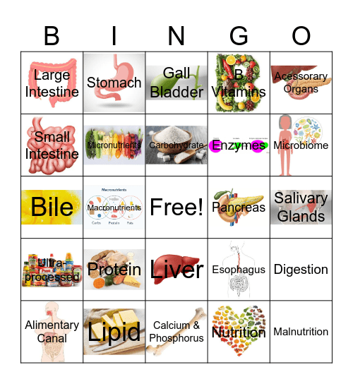 Digestive System Bingo Card