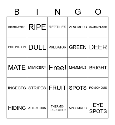 COLOR IN NATURE Bingo Card