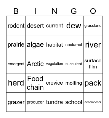 Science Bingo Card