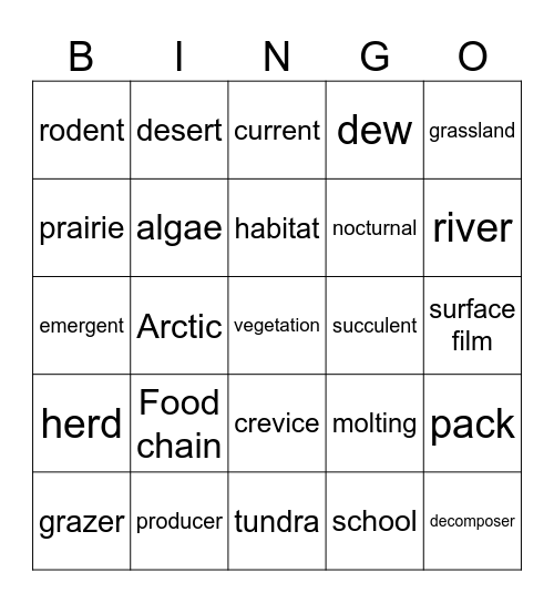 Science Bingo Card