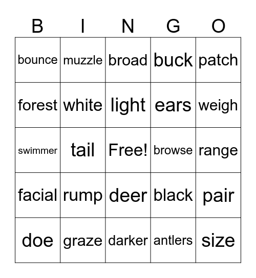 deer Bingo Card