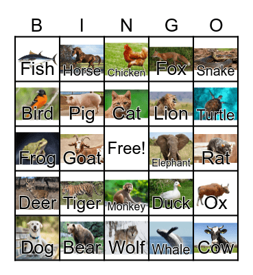 Animals Bingo Card