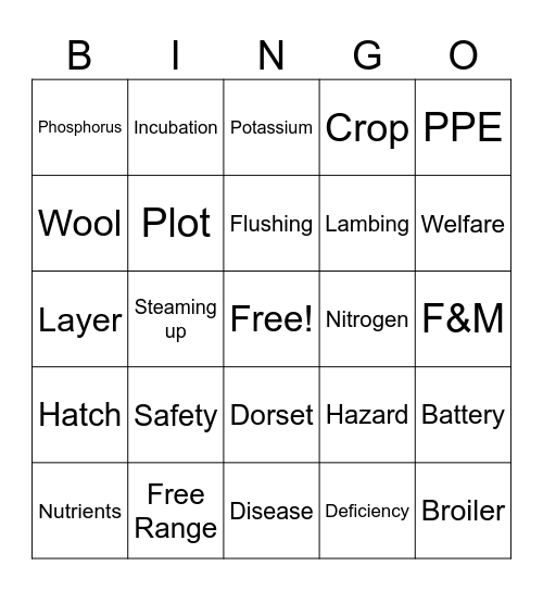 Year 8 revision Bingo Card