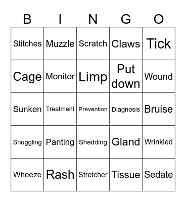 Vets Vocabulary Bingo Card