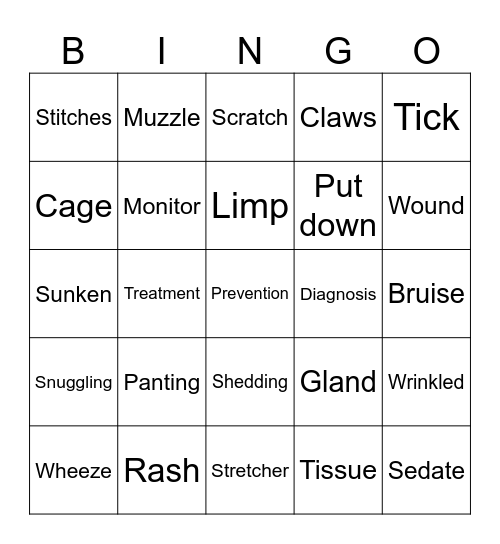 Vets Vocabulary Bingo Card