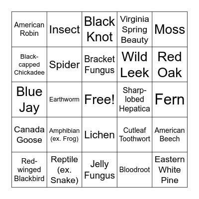 Kortright Spring Biodiversity Hike Bingo! Bingo Card