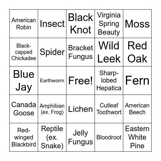 Kortright Spring Biodiversity Hike Bingo! Bingo Card