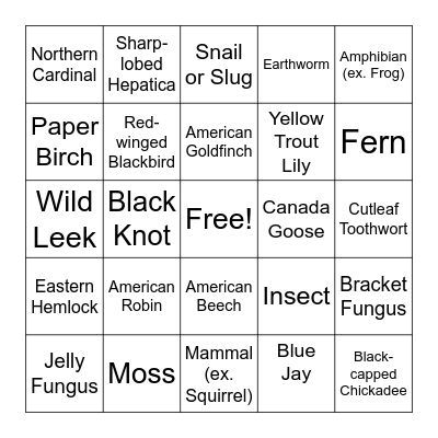 Kortright Spring Biodiversity Hike Bingo! Bingo Card