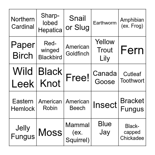 Kortright Spring Biodiversity Hike Bingo! Bingo Card