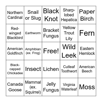 Kortright Spring Biodiversity Hike Bingo! Bingo Card
