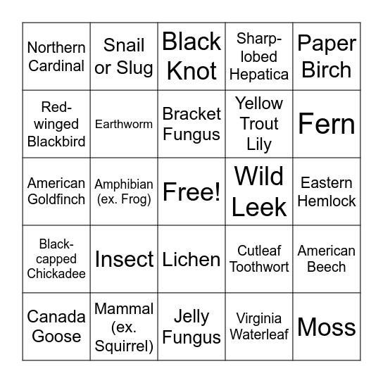 Kortright Spring Biodiversity Hike Bingo! Bingo Card