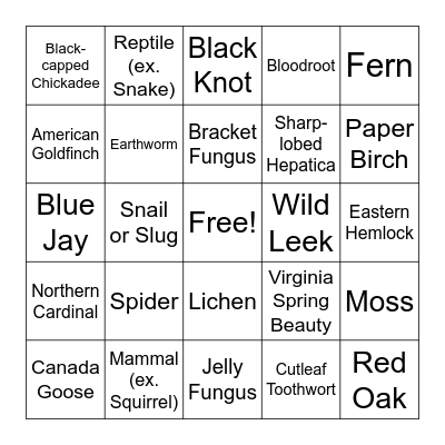Kortright Spring Biodiversity Hike Bingo! Bingo Card