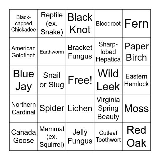 Kortright Spring Biodiversity Hike Bingo! Bingo Card