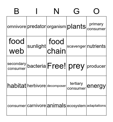 IVORE Bingo Card