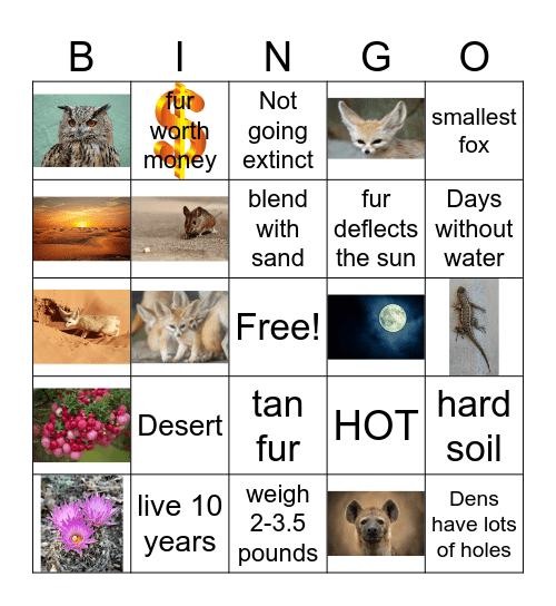Fennec Fox Bingo Card