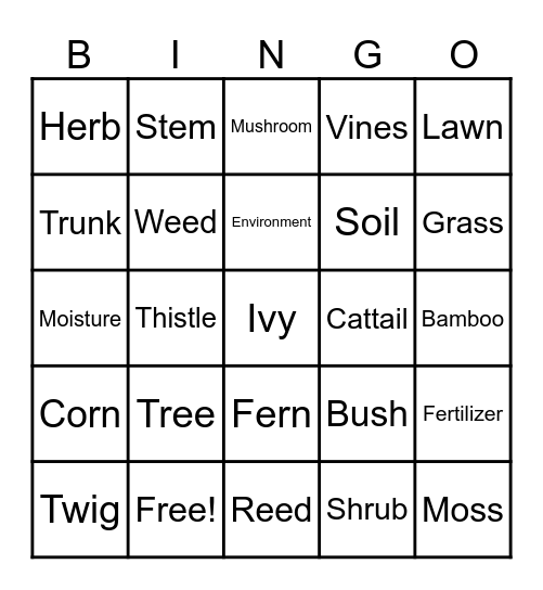 Science and Technology (3) Bingo Card