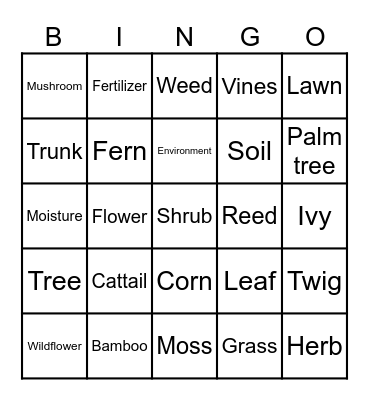 Science and Technology (3) Bingo Card