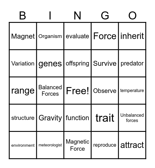 3rd Grade Science Review Bingo Card