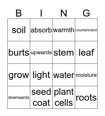 GERMINATION BINGO Card