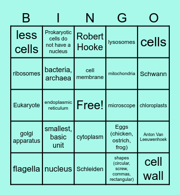 Science Test Bingo Game Bingo Card