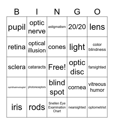 Eye Vocabulary Bingo Card