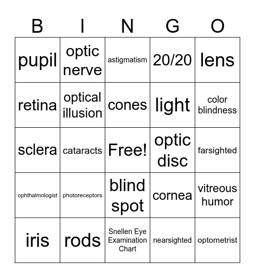 Eye Vocabulary Bingo Card