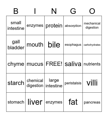 Digestive System Bingo Card