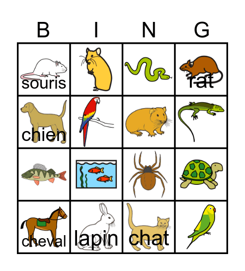 LES ANIMAUX DOMESTIQUES Bingo Card