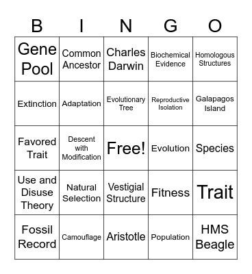 Evolution Bingo Card