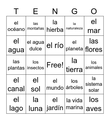 El Medio Ambiente Bingo Card