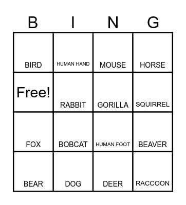 ANIMAL TRACKS Bingo Card
