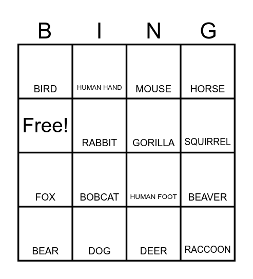 ANIMAL TRACKS Bingo Card