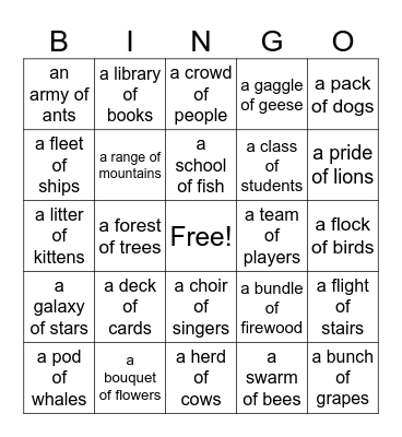 Collective Nouns Bingo Card