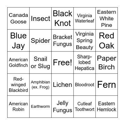 Kortright Spring Biodiversity Hike Bingo! Bingo Card