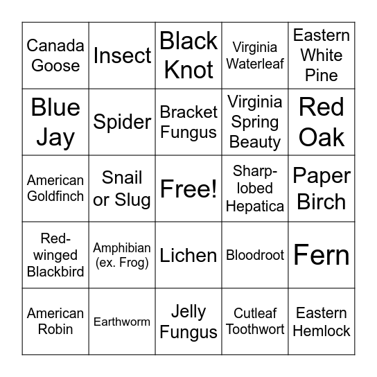 Kortright Spring Biodiversity Hike Bingo! Bingo Card